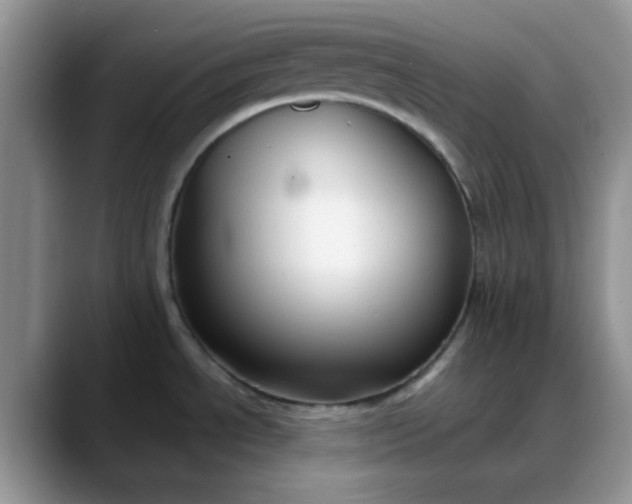 X0000088171534200705291921