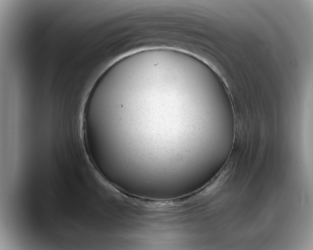 X0000088171535200705291921