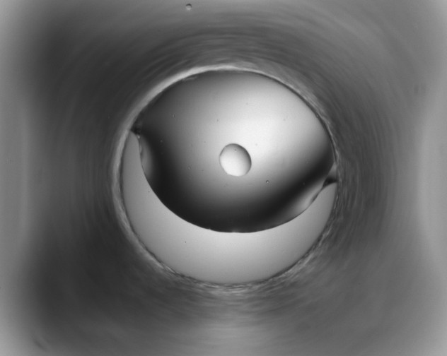 X0000088171536200705291922