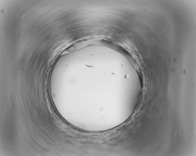 X0000088170001200706051128