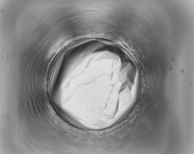 X0000088170002200706051128