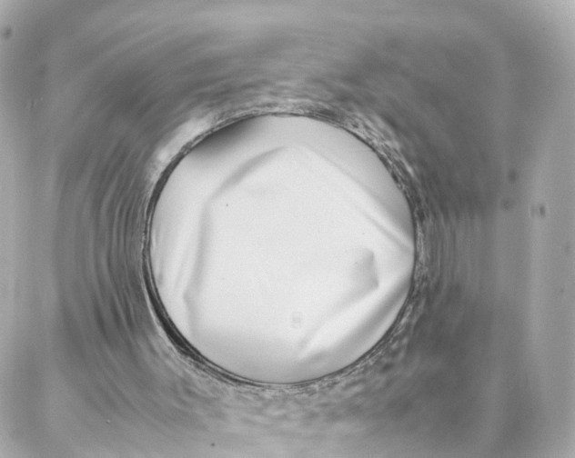 X0000088170003200706051128