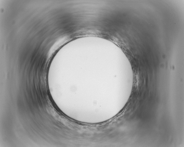 X0000088170004200706051128