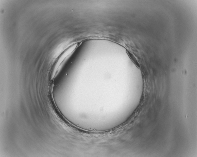 X0000088170005200706051128