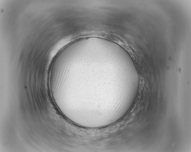 X0000088170006200706051128