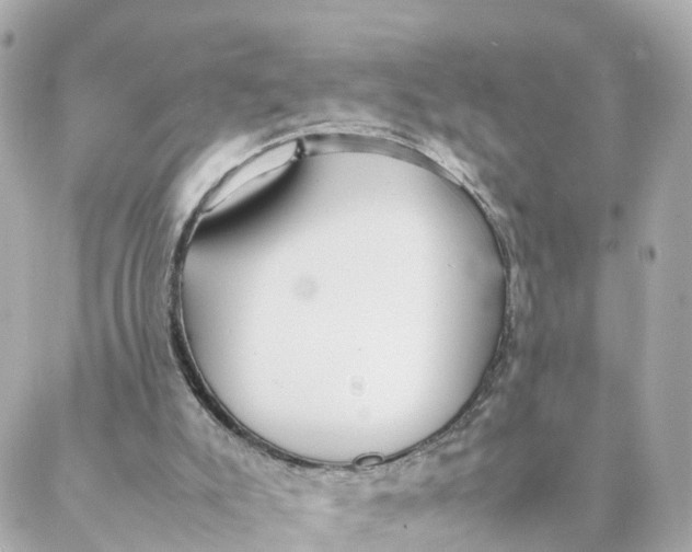 X0000088170007200706051128