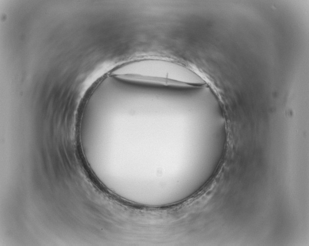 X0000088170008200706051128