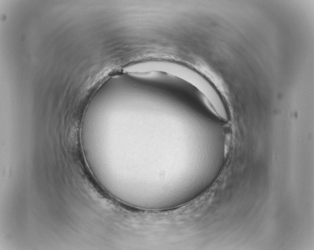 X0000088170009200706051128