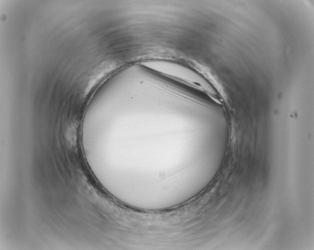 X0000088170010200706051128