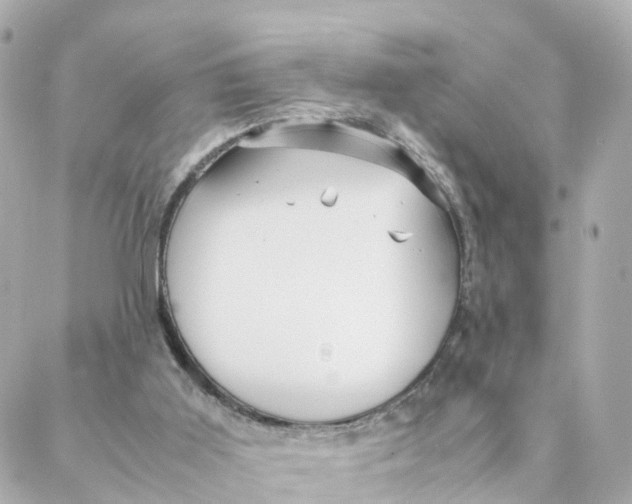 X0000088170011200706051128