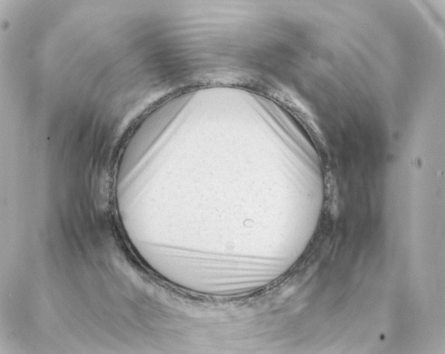 X0000088170012200706051128