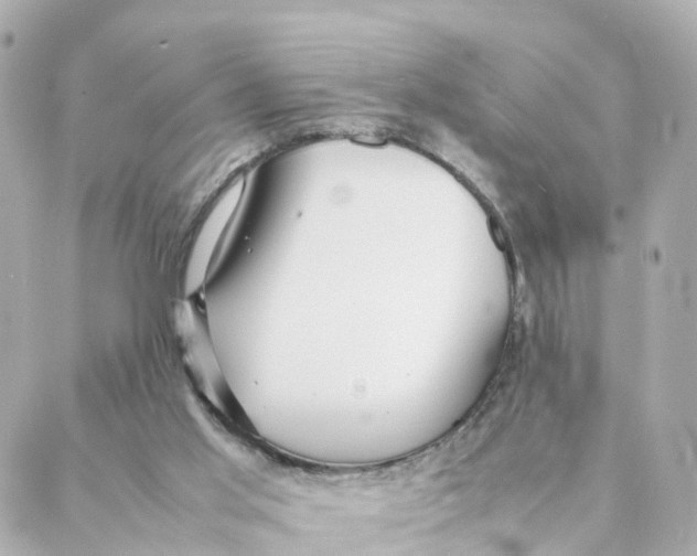 X0000088170013200706051128