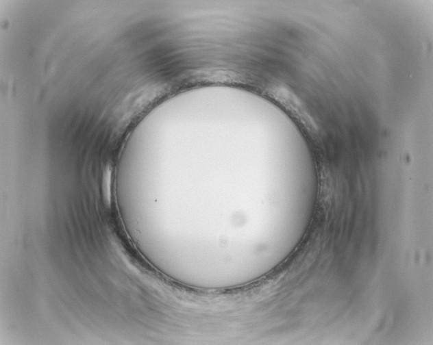 X0000088170014200706051128