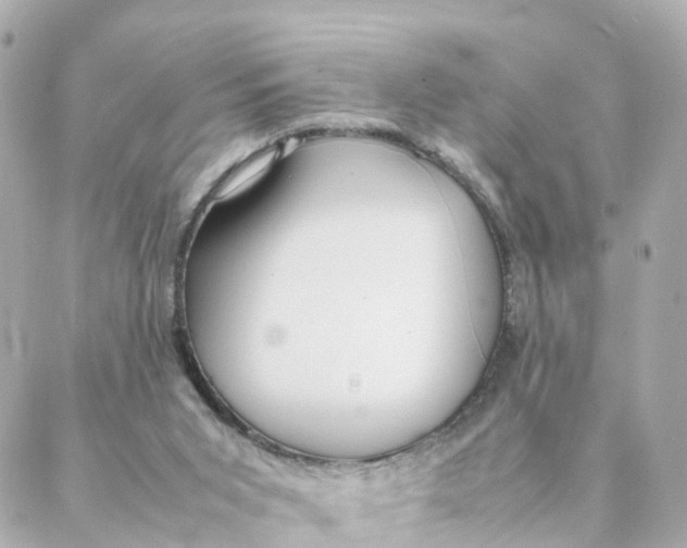 X0000088170015200706051128