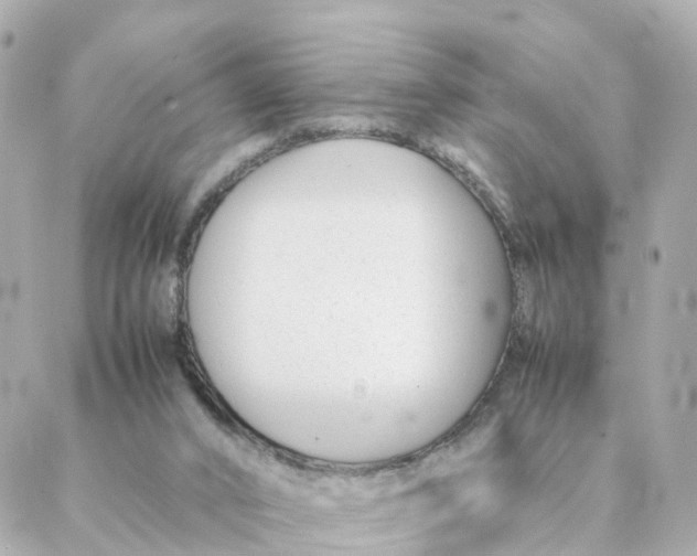 X0000088170016200706051128