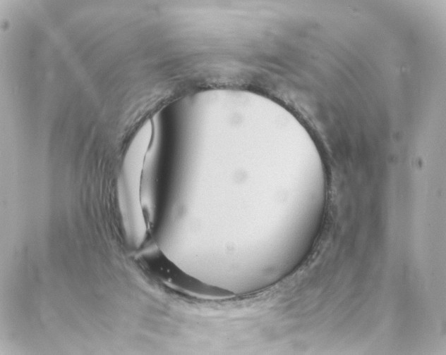 X0000088170017200706051128