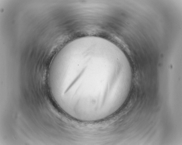 X0000088170018200706051128