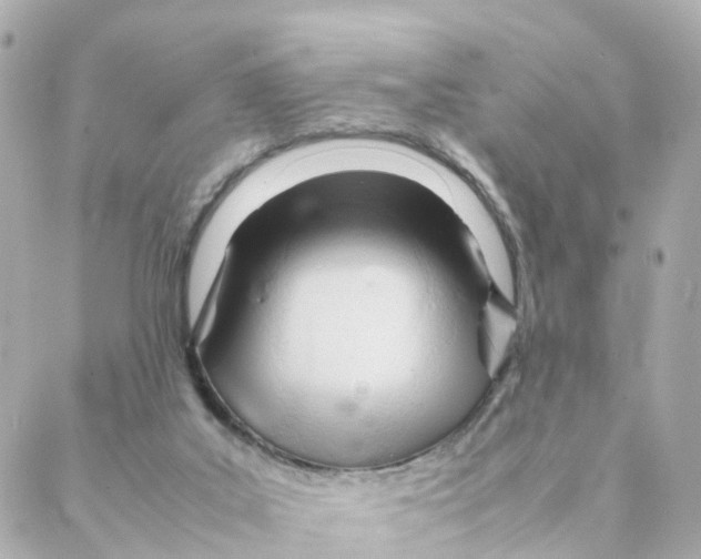 X0000088170019200706051128