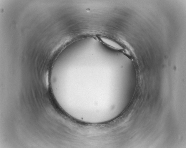 X0000088170020200706051128