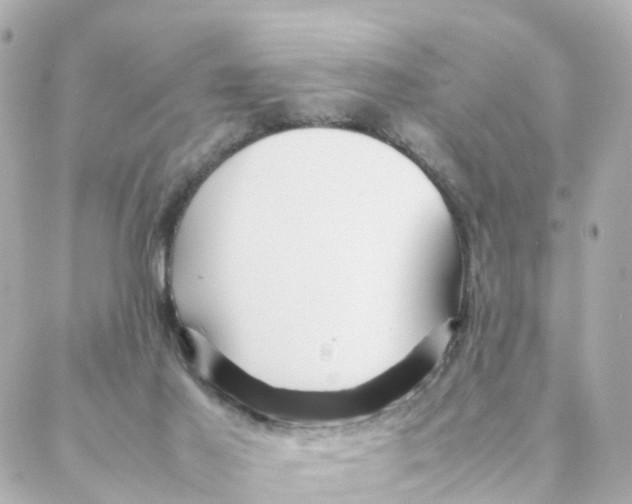 X0000088170021200706051128