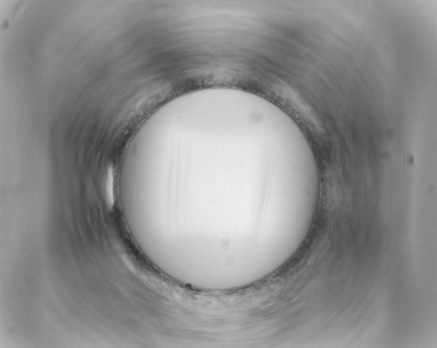 X0000088170022200706051128