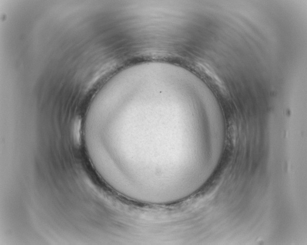 X0000088170024200706051128