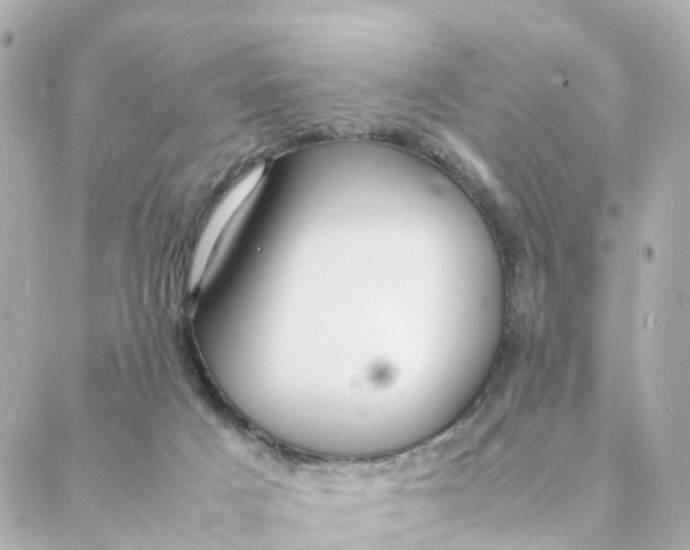 X0000088170025200706051128