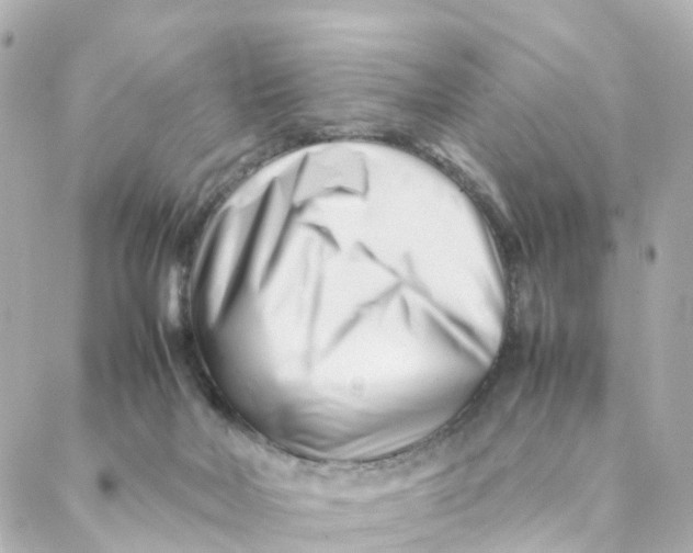 X0000088170026200706051128