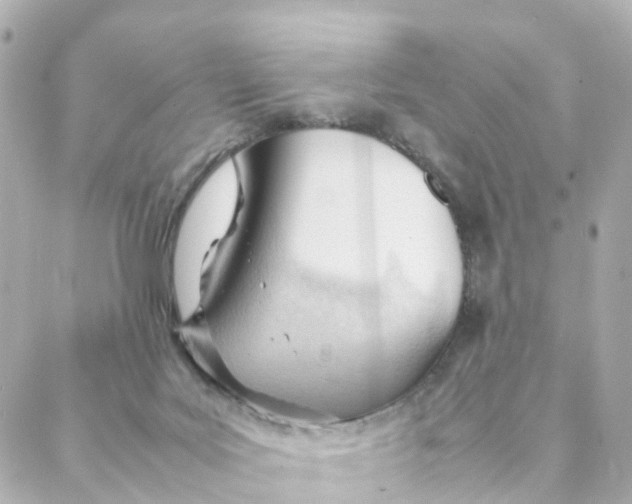 X0000088170027200706051128