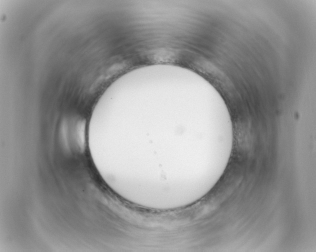 X0000088170028200706051128