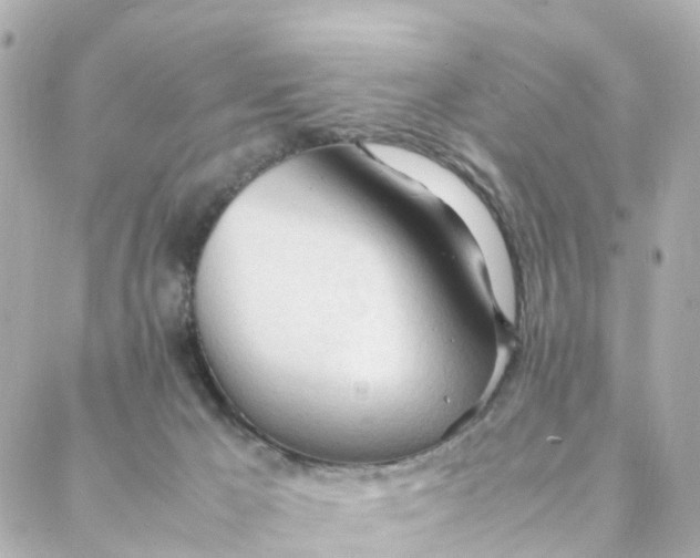 X0000088170029200706051128