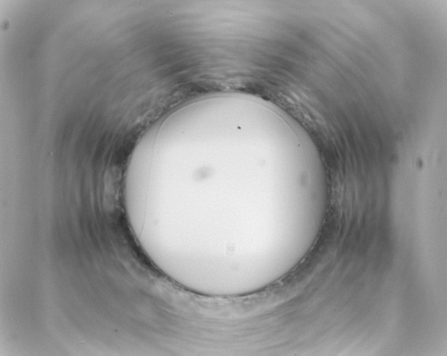 X0000088170030200706051128