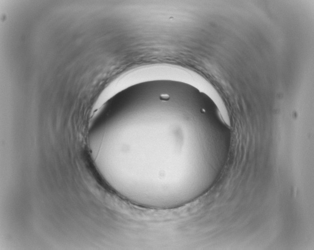 X0000088170031200706051128