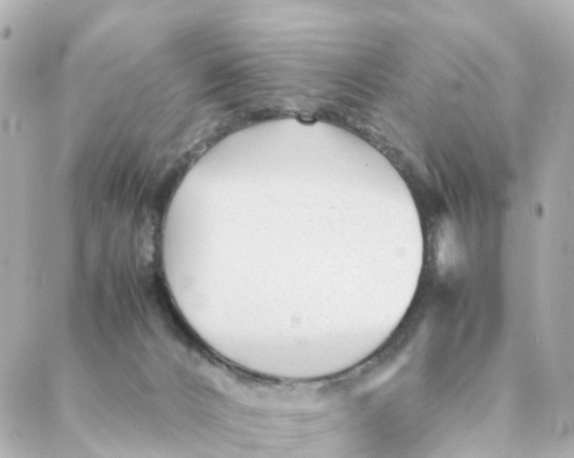 X0000088170032200706051128