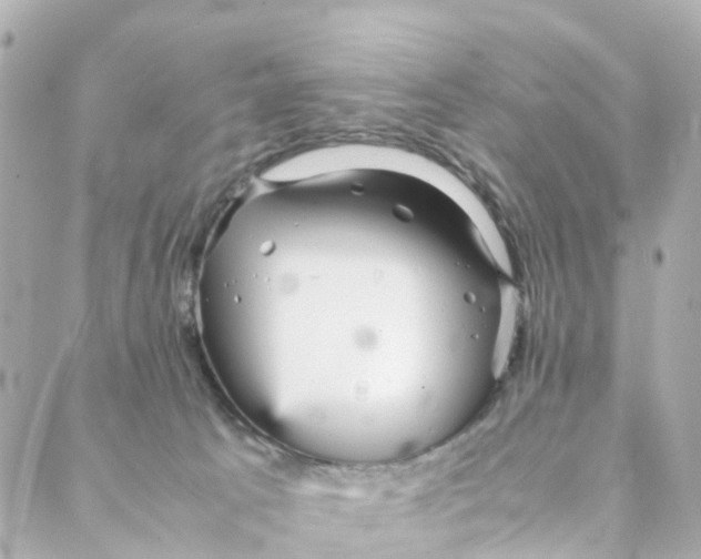 X0000088170033200706051128