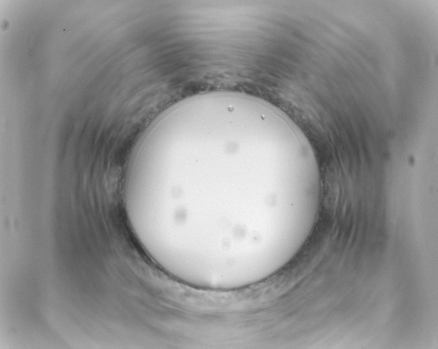 X0000088170034200706051128