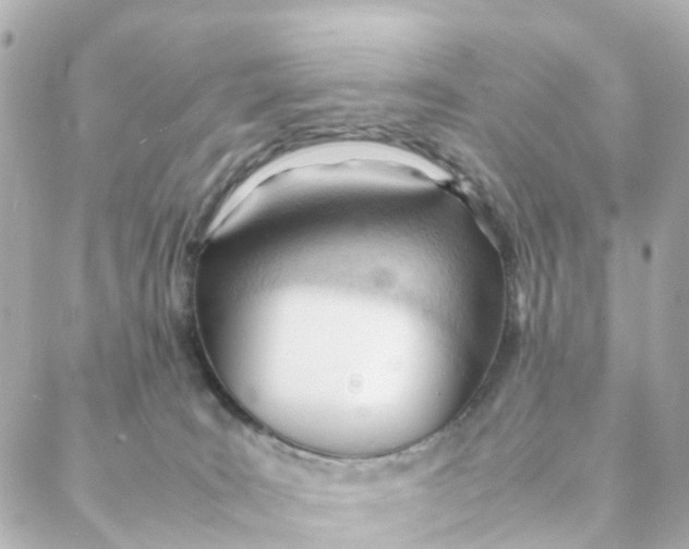 X0000088170035200706051128