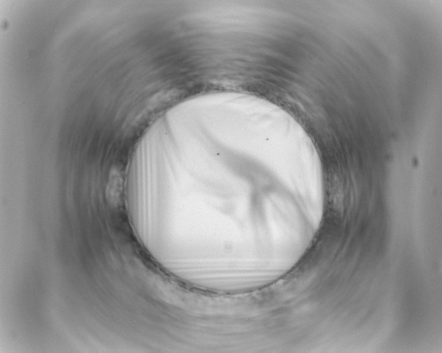 X0000088170036200706051128