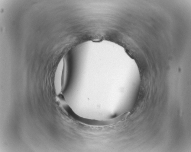 X0000088170037200706051127