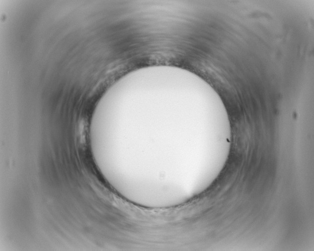 X0000088170038200706051127