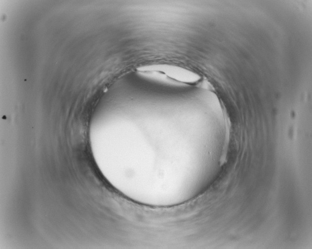 X0000088170039200706051127