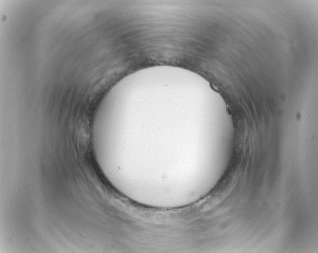 X0000088170040200706051127