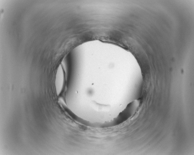 X0000088170041200706051127