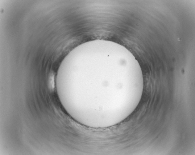 X0000088170042200706051127