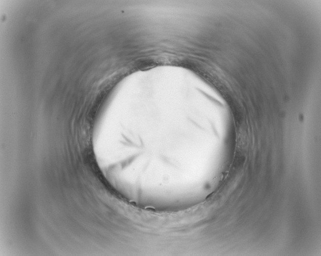 X0000088170043200706051127