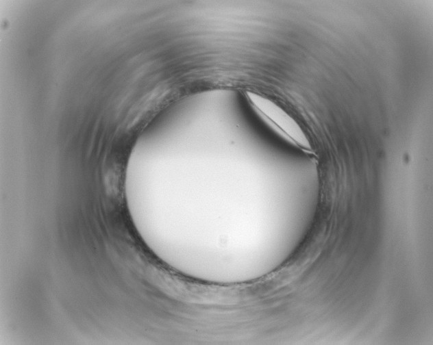 X0000088170044200706051127