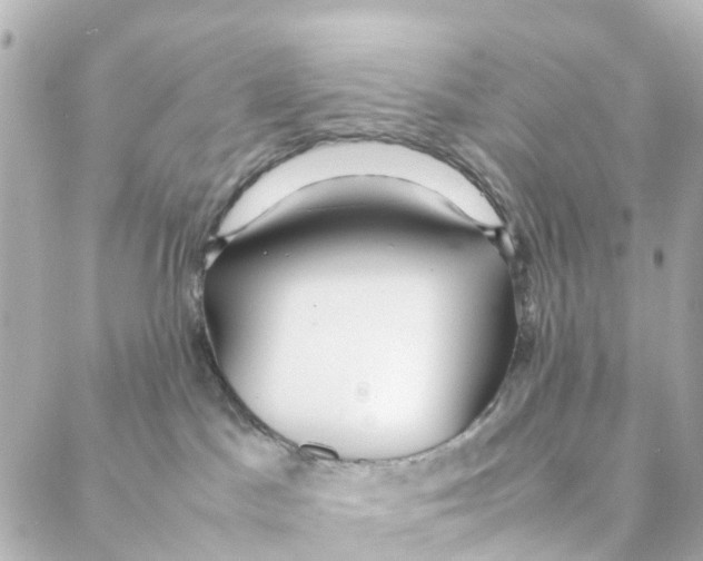 X0000088170045200706051127