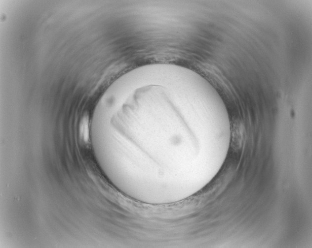 X0000088170046200706051127