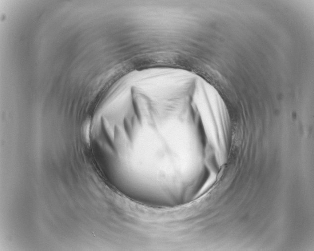 X0000088170047200706051127