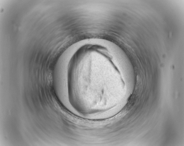 X0000088170048200706051127